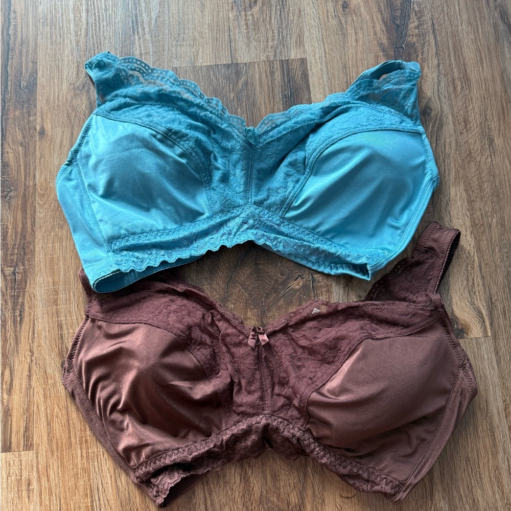 Rhonda Shear Lace Trim Bras - Teal and Brown Bundle Removable Cups 2X
